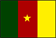 The flag of Republic of Cameroon