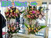 To The Next Page of The opening of Ibaraki Airport 
