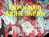 To The Next Page of EXPO 2005 AICHI JAPAN   