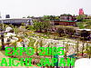 To The Next Page of EXPO 2005 AICHI JAPAN   