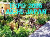 To The Next Page of EXPO 2005 AICHI JAPAN   